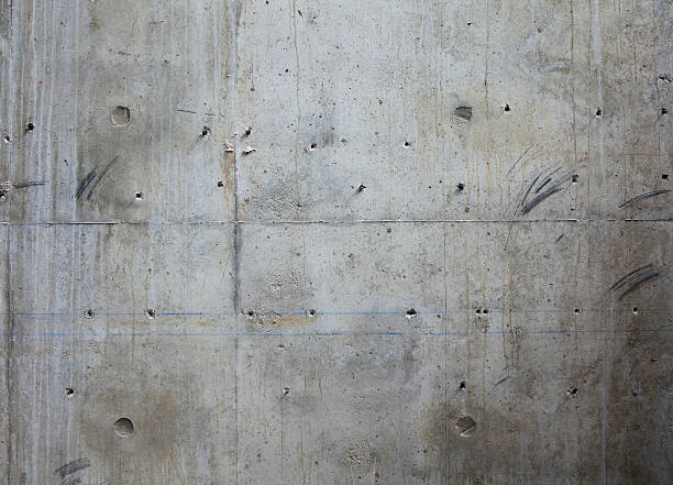 Best Custom Concrete Contractor  in Montevideo, MN